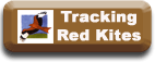 Information on Tracking Red Kites in the Wild