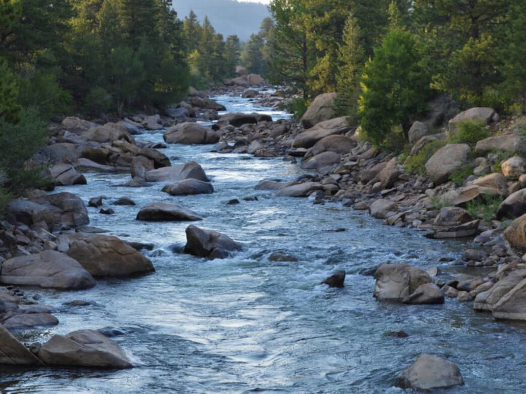 Arkansas River: Where the Brown Trout Reigns