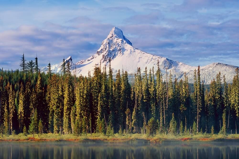 Willamette National Forest 