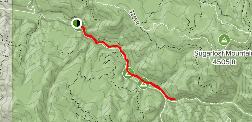 Brice Creek Trail