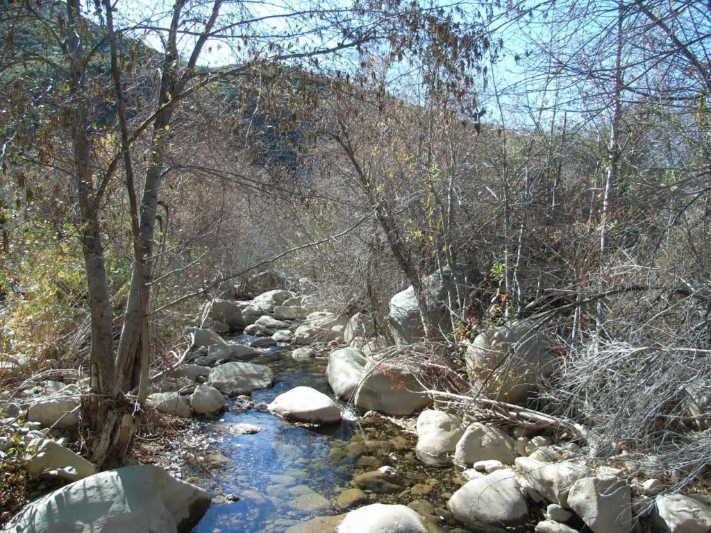 Matilija Creek Stream
