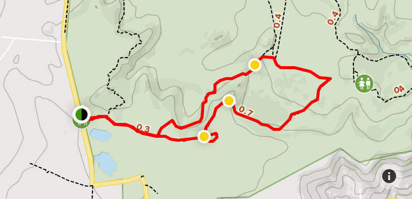 Vernal Loop Trail to Transpreserve Loop Trail