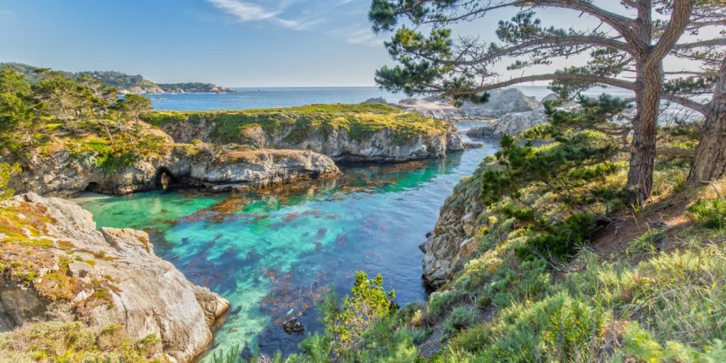 Point Lobos State Reserve