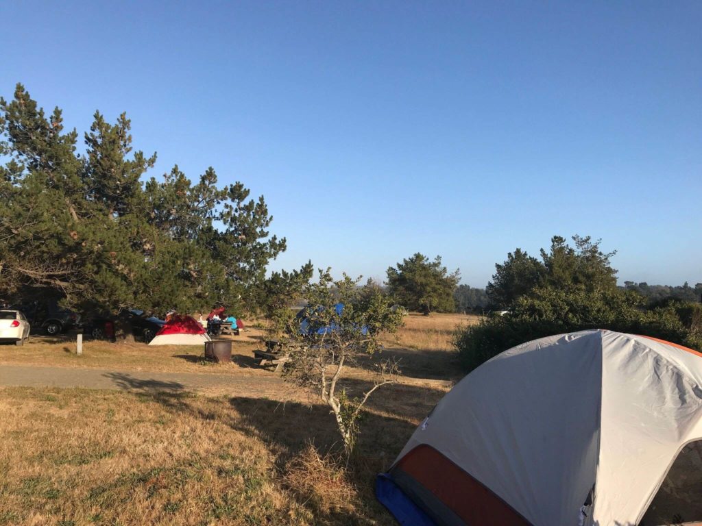 San Simeon Creek Campground