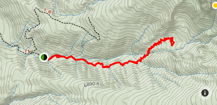 Champion Spark Plunge Mine Trail